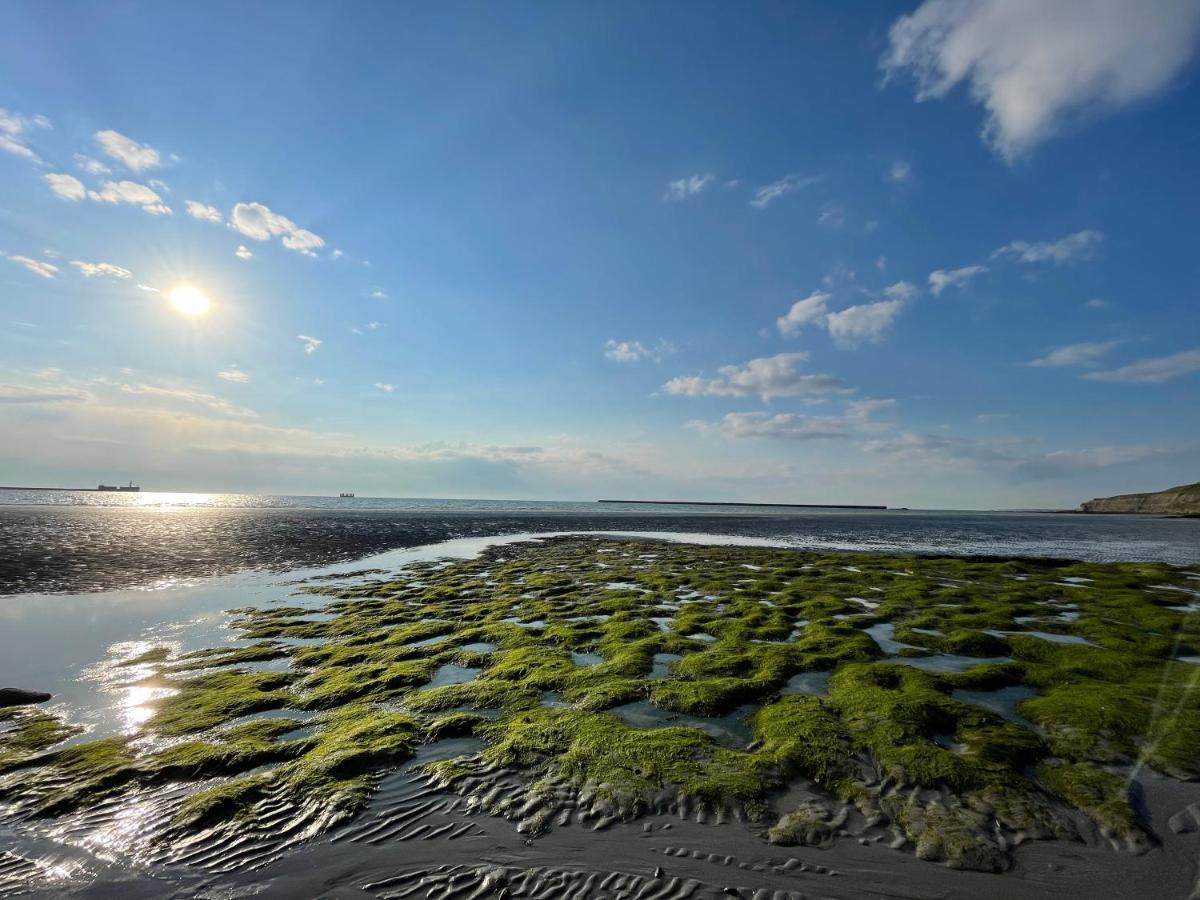 Superbe Vue Mer Face A Nausicaa Boulogne-sur-Mer Exterior photo